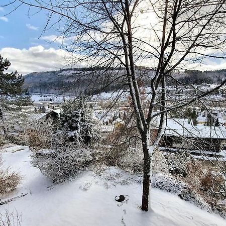 Studiowohnung Schwabenalb Mit Panoramablick Albstadt Exteriér fotografie